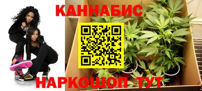 гидра Кимры