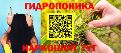 ГАЛЛЮЦИНОГЕННЫЕ ГРИБЫ Кинель
