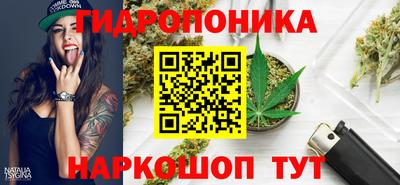 ГАЛЛЮЦИНОГЕННЫЕ ГРИБЫ Кинель