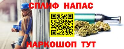 гидра Кимры