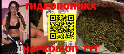 ГАЛЛЮЦИНОГЕННЫЕ ГРИБЫ Кинель