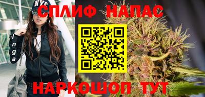 ГАЛЛЮЦИНОГЕННЫЕ ГРИБЫ Кинель