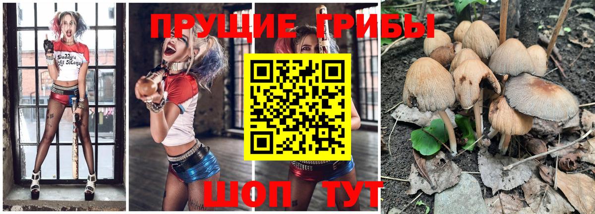Куйбышев  Галлюциногенные грибы Psilocybe  Вход с VPN 